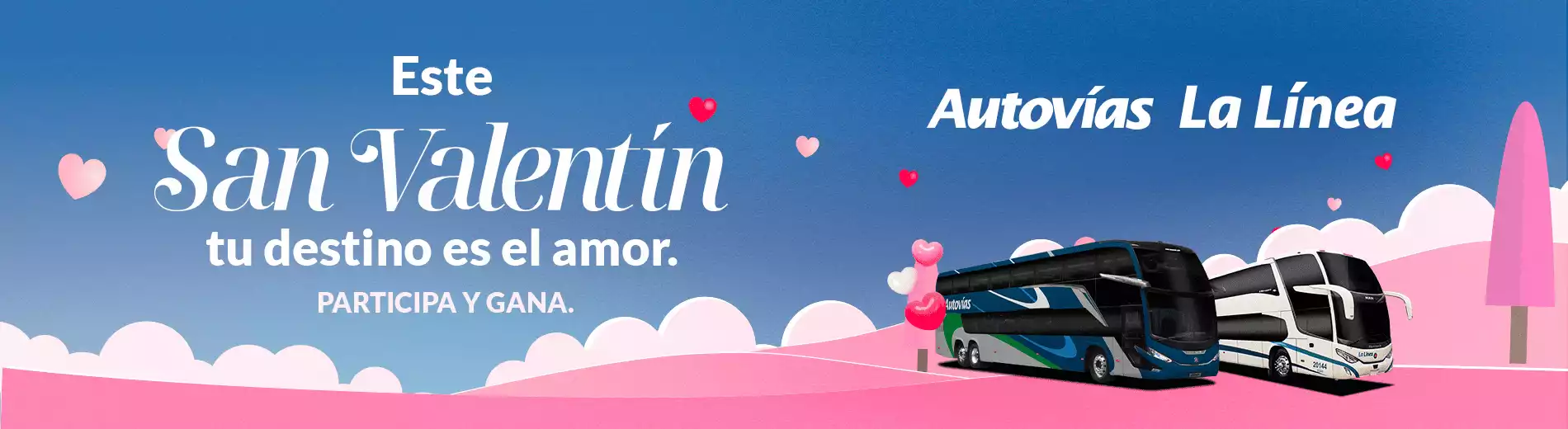 Bw_Dinamica_Autovias